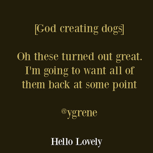 001-funny-quote-dog-God-creating-dogs-humor-hello-lovely-studio