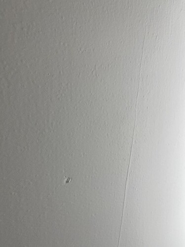 IMG_9553