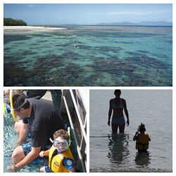IMG_1528-COLLAGE