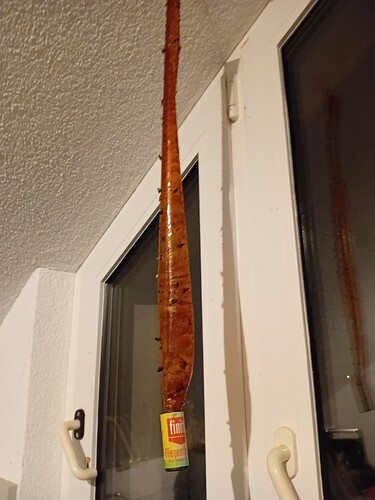 fliegenfanger