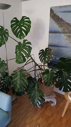 631067539_10242631070297046_1511785762919174321_n