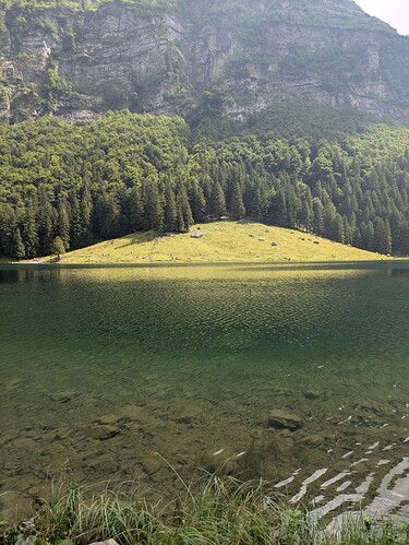 28988384-a1e8-4ab6-bc31-fcaedb033ffb-1_all_47025