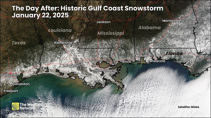 Gulf_Coast_Snowstorm_January_2025_Satellite_Image